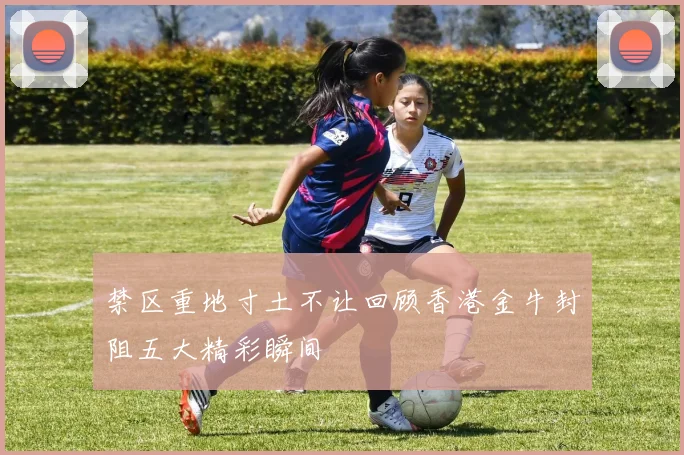 禁区重地寸土不让回顾香港金牛封阻五大精彩瞬间